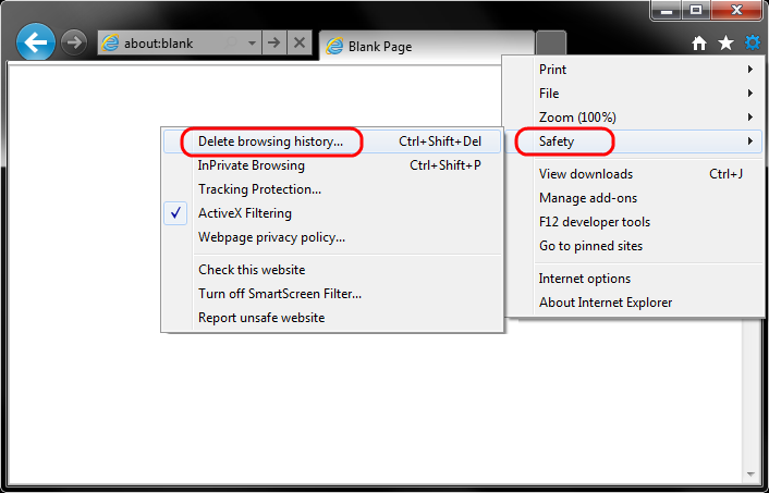 Delete Browsing History IE